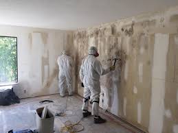 Why You Should Choose Our Mold Remediation Services in Mifflinburg, PA